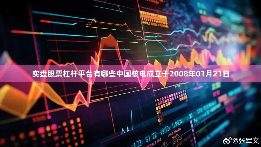 实盘股票杠杆平台有哪些中国核电成立于2008年01月21日