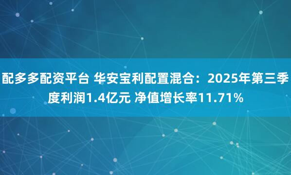 配多多配资平台 华安宝利配置混合：2025年第三季度利润1.4亿元 净值增长率11.71%