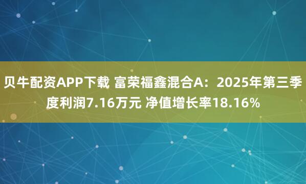 贝牛配资APP下载 富荣福鑫混合A：2025年第三季度利润7.16万元 净值增长率18.16%